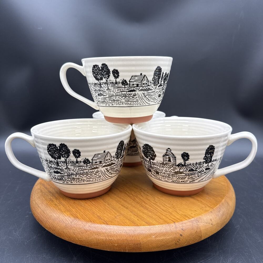 Portobello by Inspire wide-mouth footed Black And White Farm-scene mug Set Of 4
